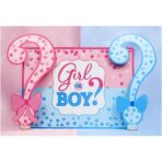Banner pentru Petrecere, Embo, Model Girl or Boy, Tematica Gender Reveal, 150 x 100 cm, Albastru Roz