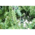 Brad artificial de Craciun tip pin, pentru interior/exterior, inaltime 150 cm, diametru 92 cm, 400 ramuri, Embo, verde, suport metalic inclus - imagine 3