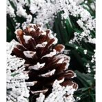 Coronita pentru Craciun Embo, diametru 20 cm, din brad artificial, decorata cu conuri si merisoare, inzapezit, Verde/Alb - imagine 3