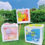 Cutie pentru Baloane, Embo, Tematica Aniversare, Model Scris Happy Birthday, Baloane Albastre, Roz, Galbene si Panglica Incluse, Contur Alb, Transparenta, 30x30 cm - imagine 5