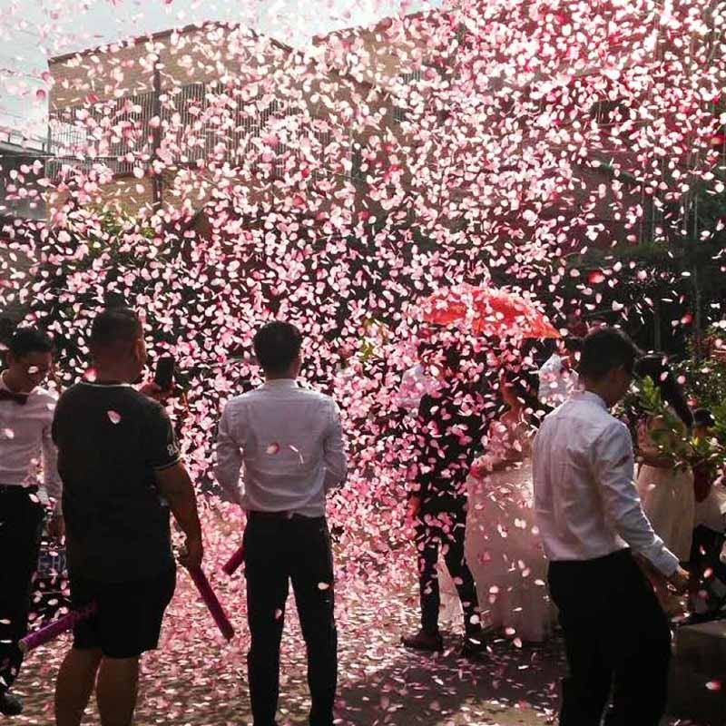 tub-confetti-flippy-pentru-party-model-cu-inimioare-si-paiete-60-cm-roz-auriu-683d709e9379e.jpg Dispozitiv Confetti pentru Petreceri, Embo, Best Wishes, Confetti Inimioare si Paiete, 60 x 5 cm, Roz Auriu - imagine 4