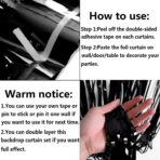 Perdea Franjurata, Embo, Model Decor Petrecere, pentru Fundal de Poze, Amenajare Colorata a Petrecerii, Dimensiune 100x200 cm, Negru - imagine 6