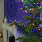 Instalatie Craciun, 30 m, 300 Led-uri ,Liniara, Rosu/Albastru/Rosu/Verde, Flash, Transformator cu telecomanda, Interconectabila, Prelungitor 3 m inclus, Fir Verde, Embo - imagine 3