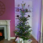 Instalatie Craciun, 30 m, 300 Led-uri ,Liniara, Rosu/Albastru/Rosu/Verde, Flash, Transformator cu telecomanda, Interconectabila, Prelungitor 3 m inclus, Fir Verde, Embo - imagine 4