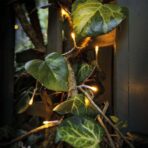 Instalatie de Craciun cu Baterii Tip Liniar, 2 jocuri de lumini, Fir Transparent 1 m 10 LED -uri, Alb Cald - imagine 6