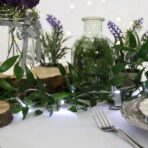 Instalatie de Craciun cu Baterii Tip Liniar, 2 jocuri de lumini, Fir Transparent 3 m 30 LED -uri, Alb Rece - imagine 2