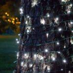 Instalatie de Craciun cu Baterii Tip Liniar, 2 jocuri de lumini, Fir Verde 3 m 30 LED -uri, Alb Rece - imagine 2