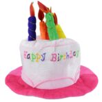 Palarie Happy Birthday, Embo, Accesoriu pentru Petrecere, Model Tort, Tematica Aniversare, 60x60x55 cm, Roz