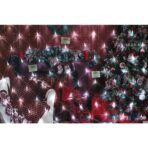 Sectiune Instalatie de Craciun Embo, Tip Plasa, 120 LED-uri, 1.5 x 1.5 m, 8 jocuri de lumini, Interconectabila, Fir transparent, Alb rece - imagine 2