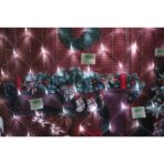 Sectiune Instalatie de Craciun Embo, Tip Plasa, 120 LED-uri, 1.5 x 1.5 m, 8 jocuri de lumini, Interconectabila, Fir transparent, Alb rece - imagine 3