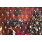 Sectiune Instalatie de Craciun Embo, Tip Plasa, 160 LED-uri, 3 m x 1 m, 8 jocuri de lumini, Interconectabila, Fir transparent, Alb cald - imagine 2