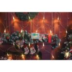 Sectiune Instalatie de Craciun Embo, Tip Plasa, 160 LED-uri, 3 m x 1 m, 8 jocuri de lumini, Interconectabila, Fir transparent, Alb cald - imagine 3