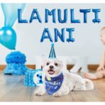 Set 10 Baloane din Folie Metalizata, Embo, Figurine Litere, Model La multi ani, Tema Aniversare, 40 cm, Ambalaj Individual, Pai Inclus,  Umflare cu Aer sau Heliu, Albastru - imagine 2