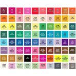 Set 100 Markere Duble, Embo, pe Baza de Alcool, Geanta Impermeabila Inclusa, Culori Numerotate, 17 x 17.5 x 13.7 cm, Multicolor - imagine 3