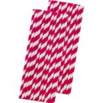 Set 16 Paie, Embo, pentru Masa de Craciun, din Hartie, 19.7 cm,Alb-Rosu