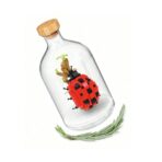 Set de Construit in Sticla, Embo, 379 Piese, din Plastic, +14 Ani, 10 x 19.6 cm, Model Buburuza, Multicolor - imagine 4