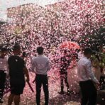 Tun Confetti, Embo, Confetti Inimioare si Mesaj Love, 40 x 5 cm, Roz Alb - imagine 5