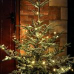 Instalatie de Craciun liniara Yoto, 10 m, din care 1 m cablu priza 220V, 100 LED, 8 jocuri de lumini, controler, fir negru, alb cald - imagine 7