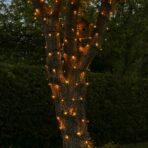 Instalatie de Craciun liniara Yoto, 24 m, din care 1 m cablu priza 220V, 300 LED, 8 jocuri de lumini, controler, fir negru, alb cald - imagine 3