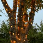 Instalatie de Craciun liniara Yoto, 24 m, din care 1 m cablu priza 220V, 300 LED, 8 jocuri de lumini, controler, fir negru, alb cald - imagine 4