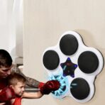 Jucarie de Boxat cu Muzica si Lumini, Embo, Bluetooth, Incarcare USB, Aplicare cu Ventuze, 5 Tinte, 40x38x8 cm, 930 g, Alb