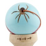 Kendama X Originala Silken, Profesionala, Embo, Cupe Mari KING SIZE V3, Super Sticky, Gaura in Baza, Rulment Metalic, din lemn 18 cm, Ata 55 cm, Albastru deschis - imagine 9