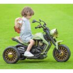 Motocicleta Electrica Embo, cu Acumulator,  Bluetooth, Sistem Anti-Rasturnare, Sistem de Lumini si Sunet, 1-8 Ani, 93 x 48 x 63 cm, Verde - imagine 17
