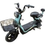 Scuter Electric KG, Saige, Fara Permis, Motor 500W, Baterie 48V20Ah, Autonomie 60km, 153x40x85 cm, Viteza Maxima 25km/h, Verde